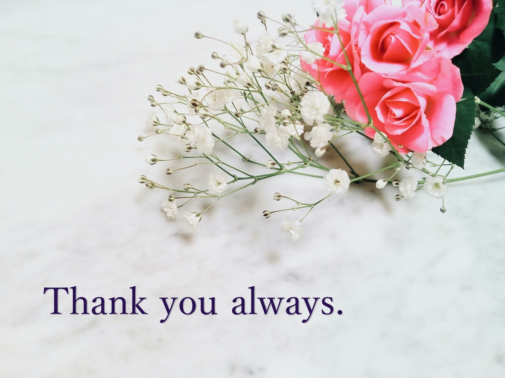 『オプションチケット』をプレゼント