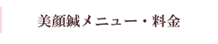 美顔鍼メニュー・料金