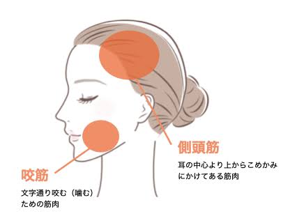 画像の説明 画像の説明